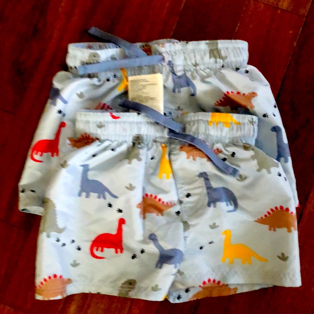 H&M Swim Trunks